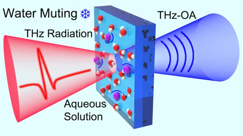 Revolutionary Tech Monitors Blood Sodium—No Needles Required!