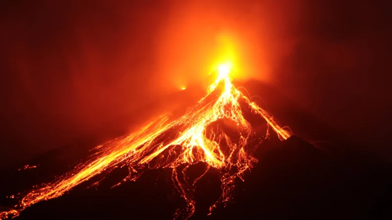 Nature’s Resilience: How Volcanoes Ignite New Life