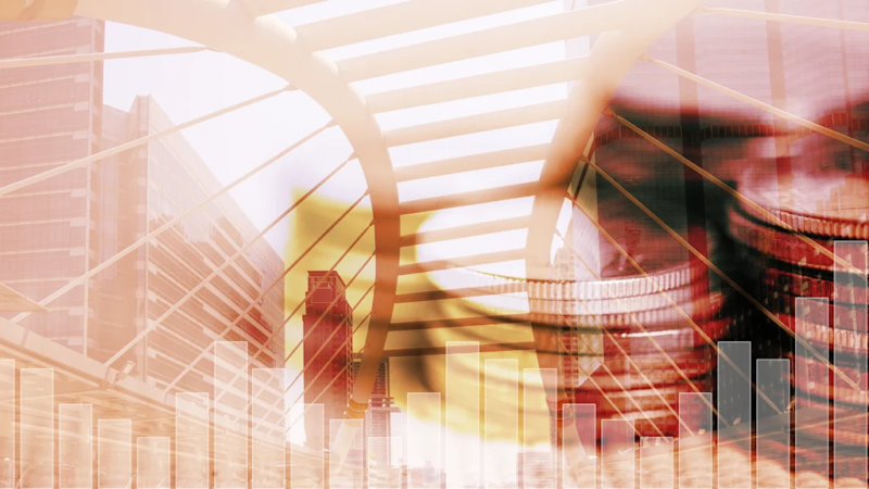 Unraveling the Patterns: Rethinking Venture Capital Strategies