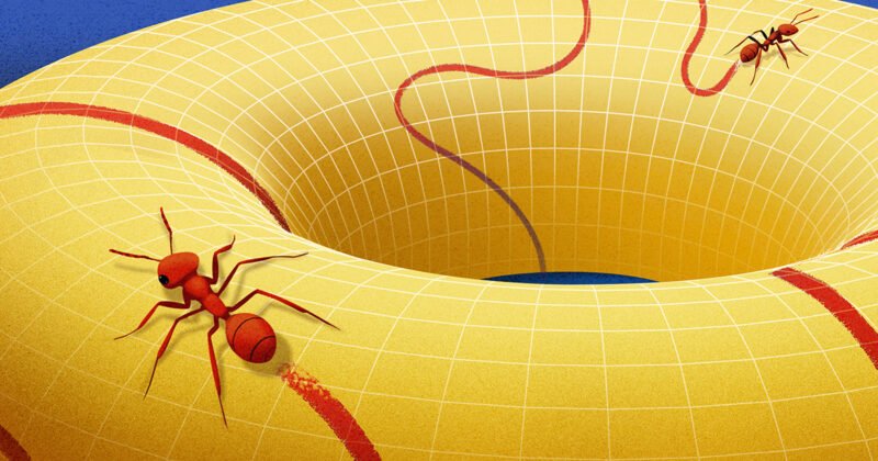 Unraveling Manifolds: The Hidden Dimensions of Mathematics