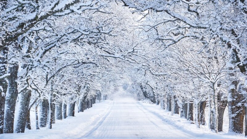 Unmasking Business Myths: The Hidden Dangers