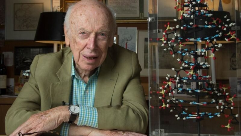 Legacy of Discovery: Remembering a Pioneer of DNA