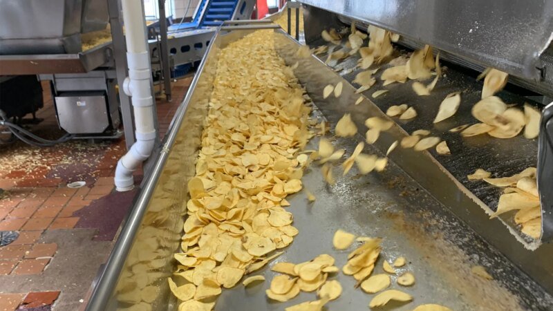 Chasing Crunch: The Quest for the Perfect Chip Potato