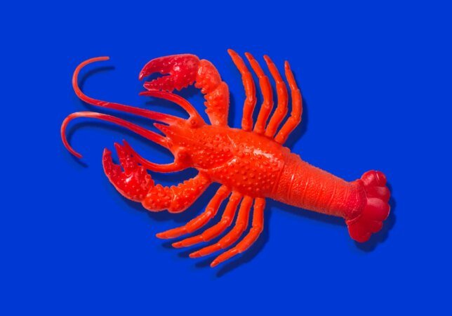 Claude Code Subscribers Face Extra Charges for OpenClaw Use
