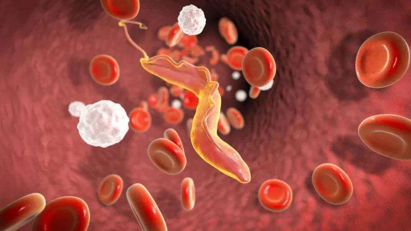 Breakthrough Discovery: Parasite’s Secret Weapon Against Immunity