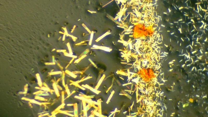 Breakthrough: Scientists Uncover Hidden State in ‘Sandwich’ Molecules!