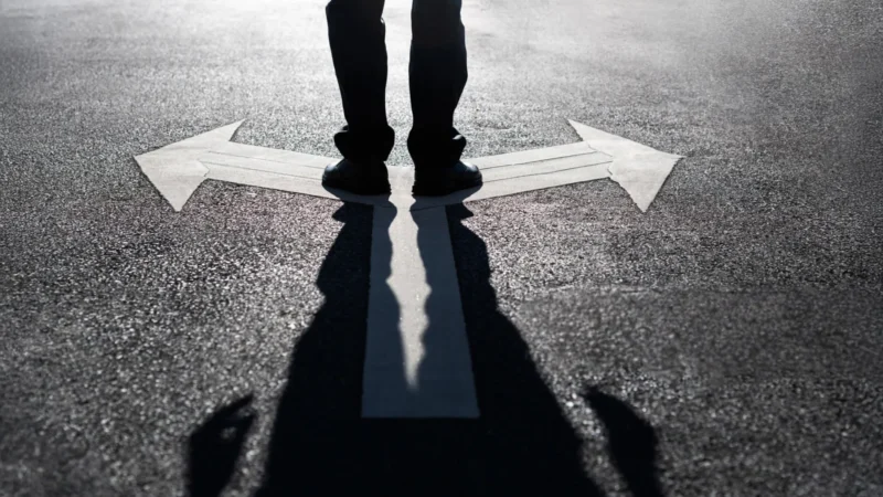 Why Your Brain Repeats the Same Choices—Even When Better Options Are There