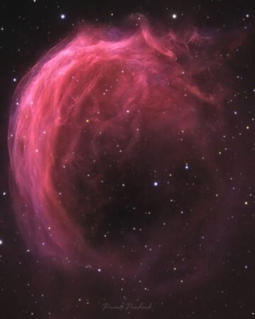Unveiling the Celestial Shrimp: A Glimpse Into the Shimmering Nebula