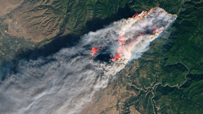 Record-Breaking Heat: 2026 Sizzles to New Summer Highs