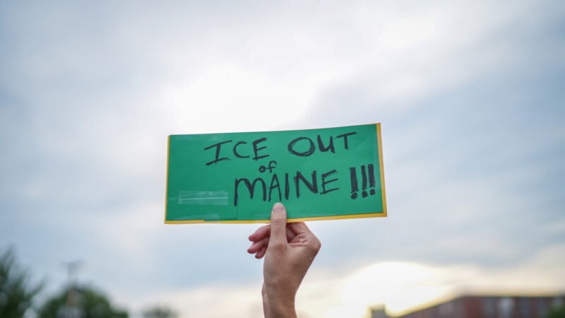 ICE Uses Palantir Database to Monitor Protestors