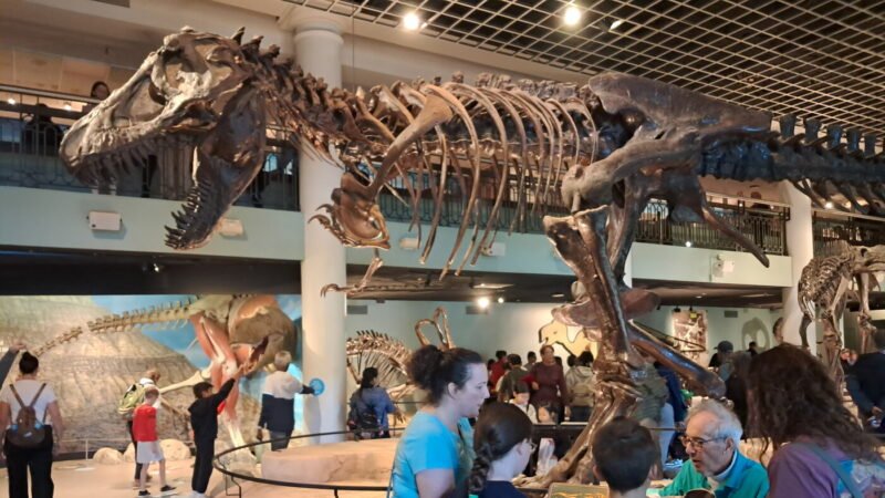 Philadelphia’s Natural Sciences Legacy Ends After Nearly 200 Years